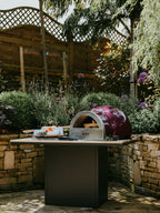 DeliVita The Berry Hot Oven - Wood Fired Pizza Oven BritishGrill