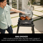Ninja OG850UK Woodfire XL Electric BBQ Grill & Smoker - Black/Grey Amsterdam Style
