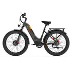 ElectroTrek Step-Thru Electric Bike ElectroTrek