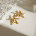 Sierra Star Earrings Winsleyco