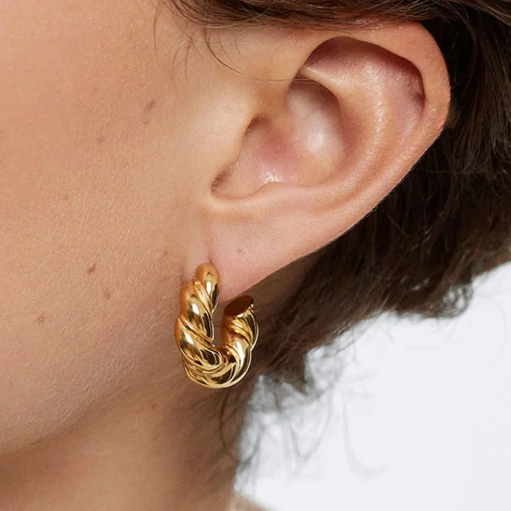 Alyssa Hoop Earrings Winsleyco