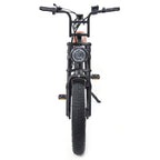 Big Game Bikes Warthog 250w Electric Bike ElectroTrek
