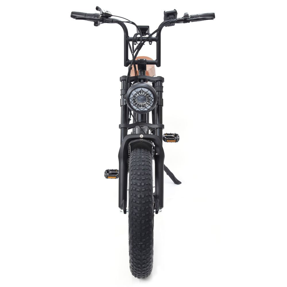 Big Game Bikes Warthog 250w Electric Bike ElectroTrek