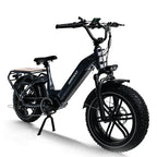 Himiway Big Dog Electric Bike ElectroTrek