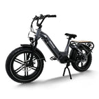 Himiway Big Dog Electric Bike ElectroTrek