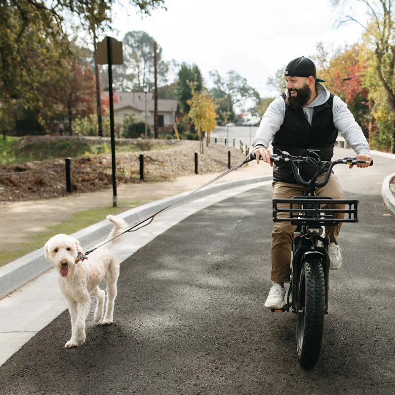 Himiway Big Dog Electric Bike ElectroTrek