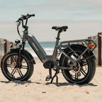 Himiway Big Dog Electric Bike ElectroTrek