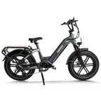 Himiway Big Dog Electric Bike ElectroTrek