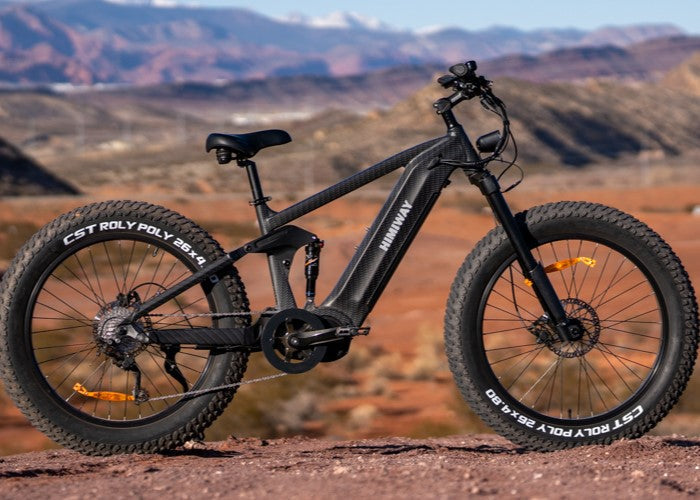 Himiway Cobra Pro 1000w Electric Bike ElectroTrek