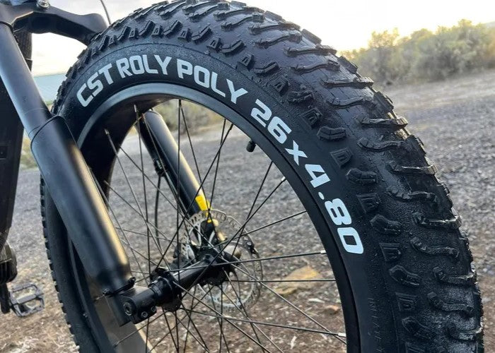 Himiway Cobra Pro 1000w Electric Bike ElectroTrek
