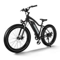 Himiway D3 Cruiser Electric Bike ElectroTrek