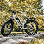 Himiway D3 Cruiser Electric Bike - Step Through ElectroTrek