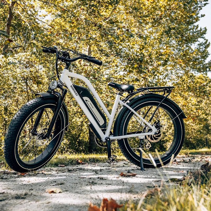 Himiway D3 Cruiser Electric Bike - Step Through ElectroTrek