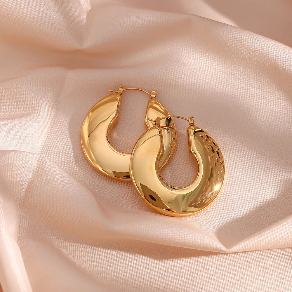 Hannah Chunky Earrings Winsleyco