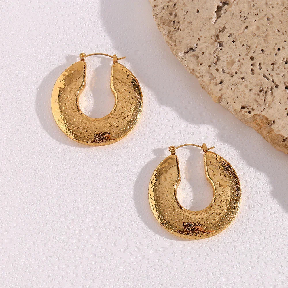 Hannah Chunky Earrings Winsleyco