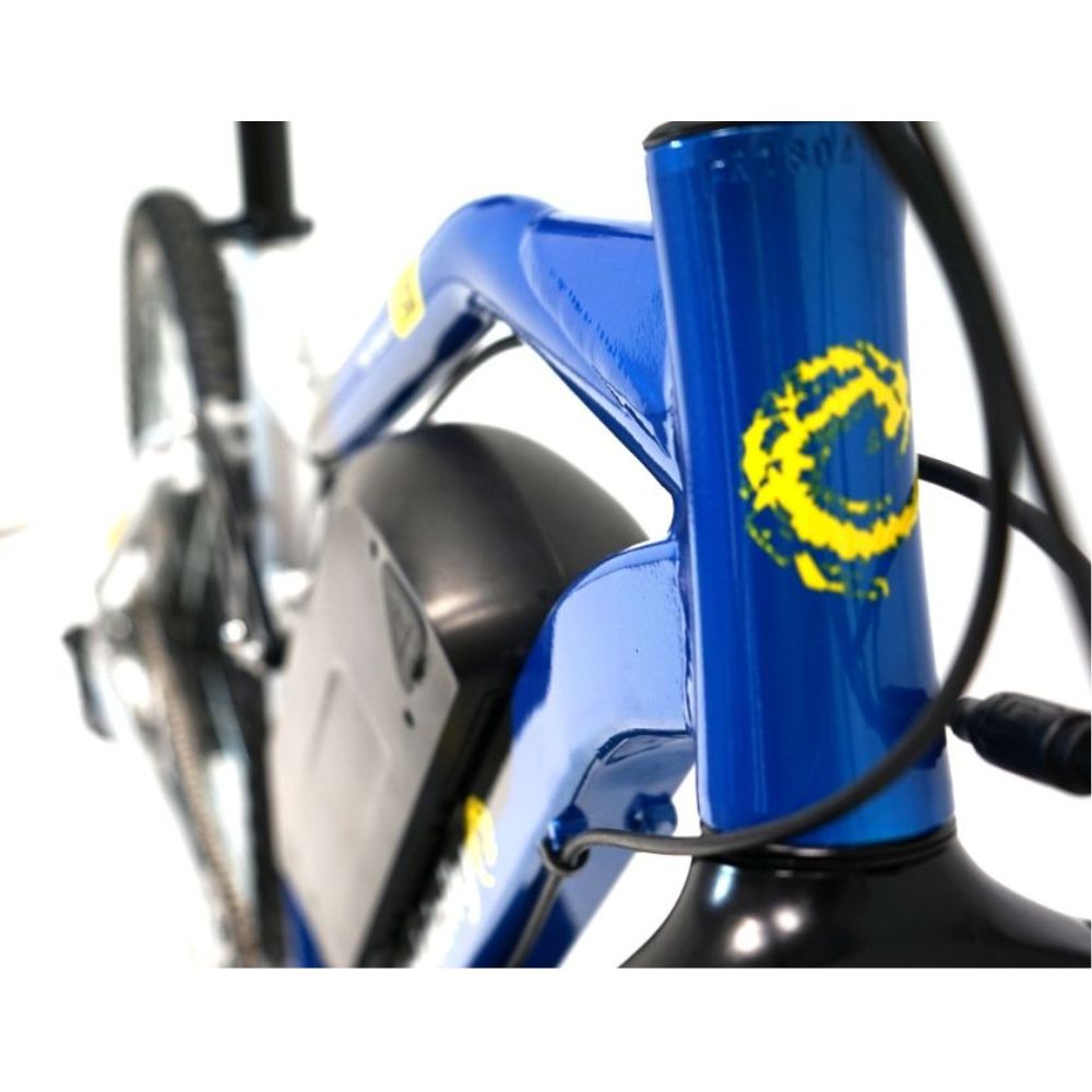 Cyclotricity Mullet Beast Electric Bike ElectroTrek