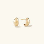 Nora Earrings Winsleyco