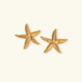 Sierra Star Earrings Winsleyco