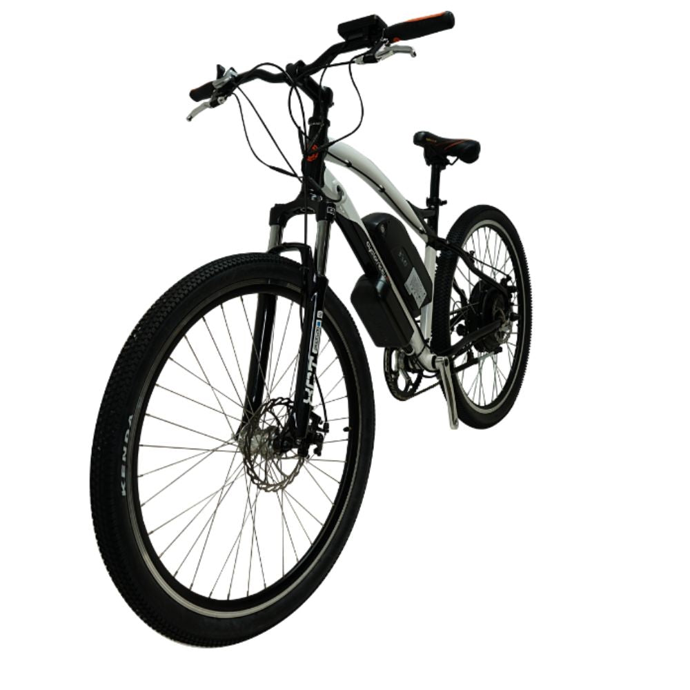 Cyclotricity Stealth Electric Bike - Rear Hub Motor ElectroTrek