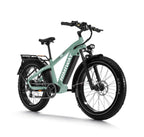 Himiway D5 Zebra 2024 Electric Bike ElectroTrek