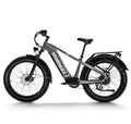 Himiway D5 Zebra 2024 Electric Bike ElectroTrek