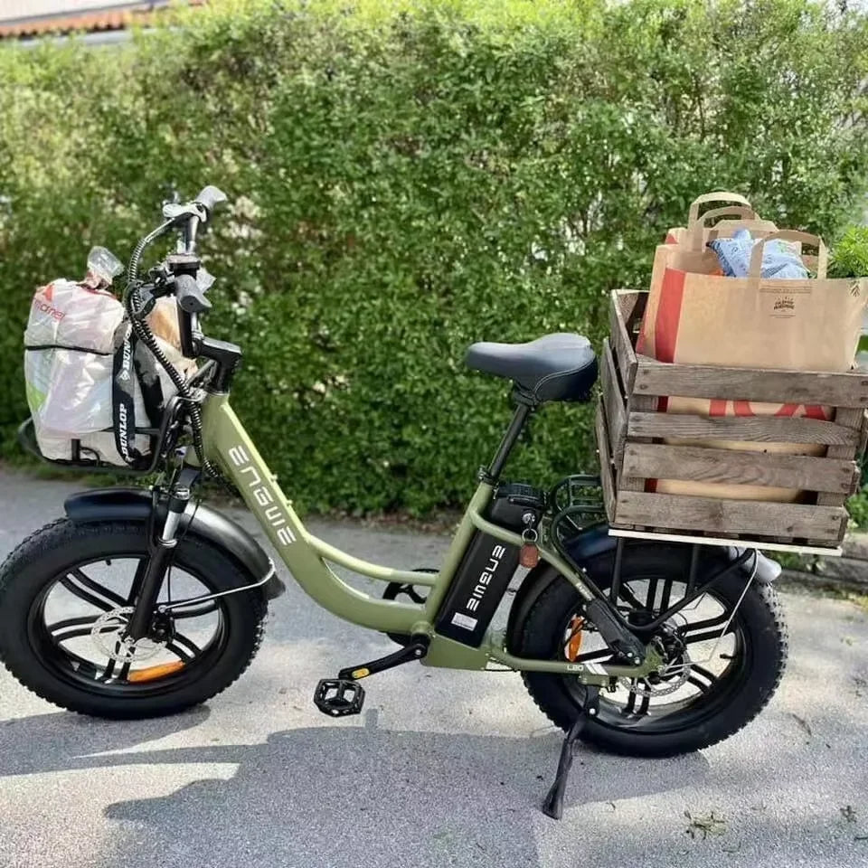 Affordable Best Women's Electric Bike for city travel and commuting 4