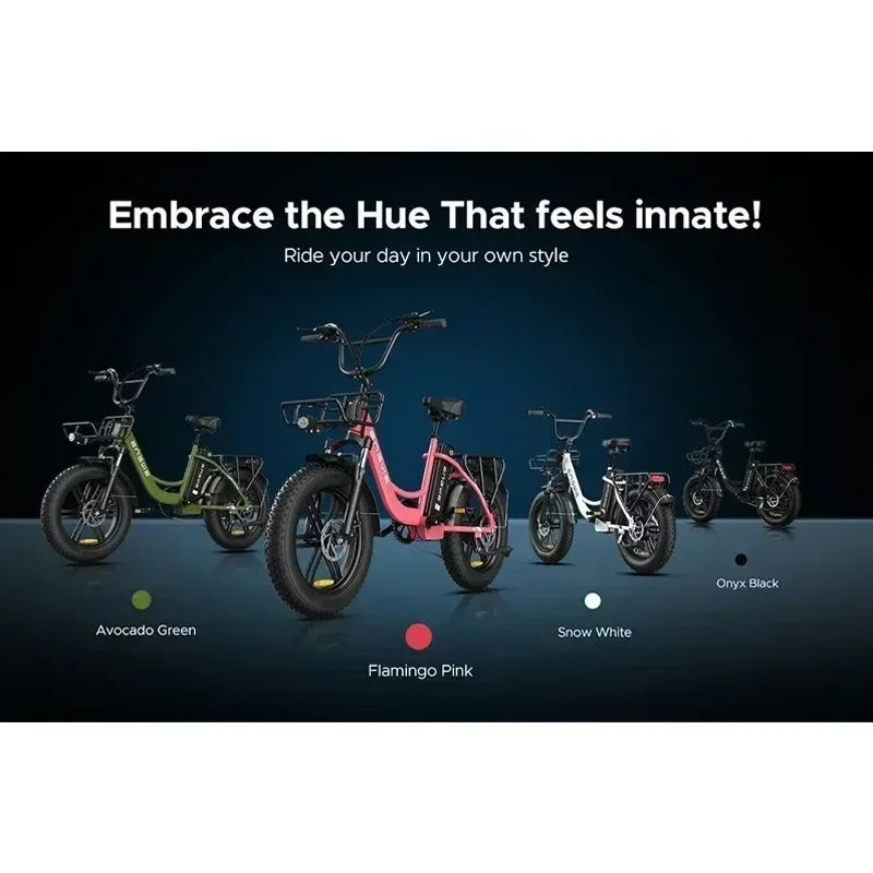 Affordable Best Women's Electric Bike for city travel and commuting 5