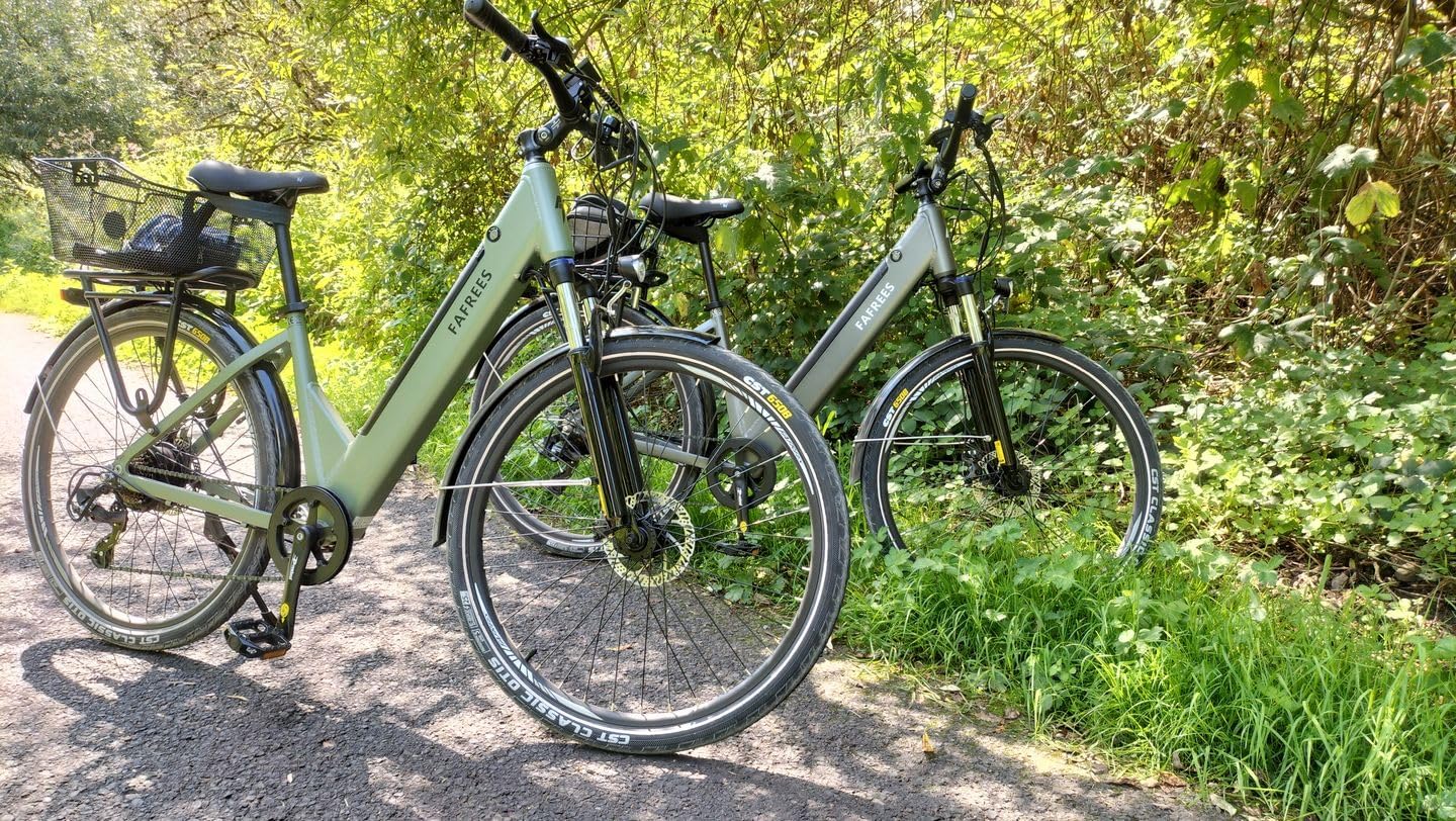 F28 PRO Exceptional Electric Bike in Thyme Green and Bronze colors. 2