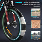BK15 Fat Tyre Electric Bike in black with powerful features. 3