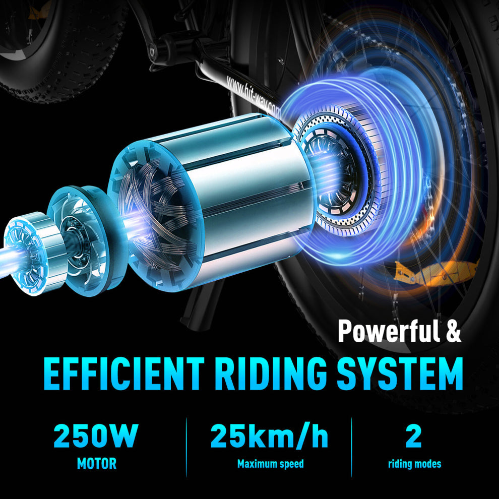 BK15 Fat Tyre Electric Bike in black with powerful features. 4