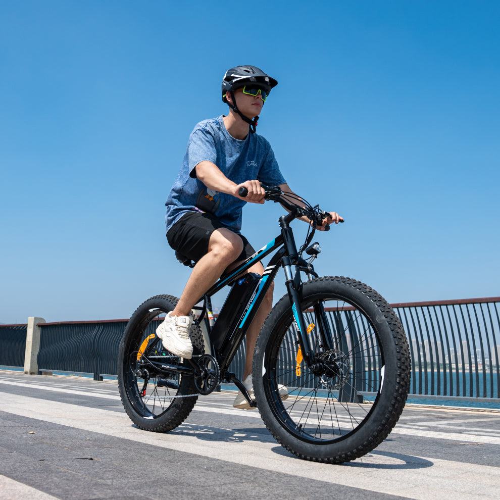 BK15 Fat Tyre Electric Bike in black with powerful features. 5