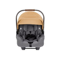Infant Car Seat Gray