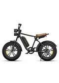 Stylish Longest Range Electric Bike in Black and Green