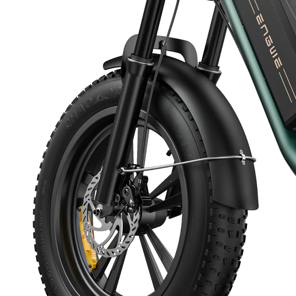 Stylish Longest Range Electric Bike in Black and Green 4