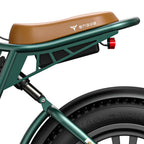 Stylish Longest Range Electric Bike in Black and Green 7