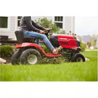 Troy-Bilt Bronco 42 Riding Lawn Mower Amsterdam Style
